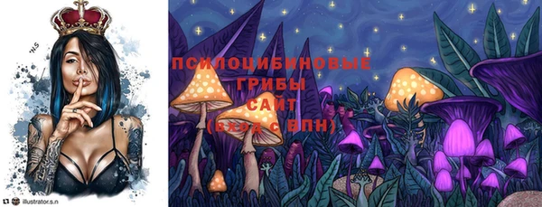 PSILOCYBIN Беломорск